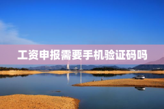 工资申报需要手机验证码吗