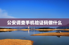 公安调查手机验证码做什么