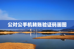公对公手机转账验证码画图解析
