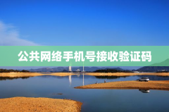 公共网络手机号接收验证码