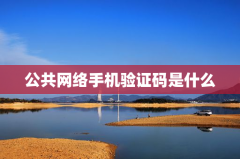 公共网络手机验证码是什么