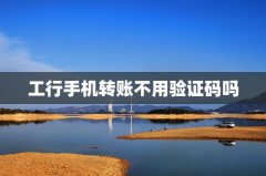 工行手机转账不用验证码吗