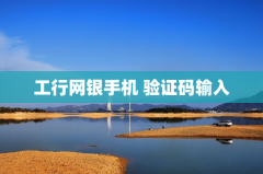 工行网银手机验证码输入时的安全措施