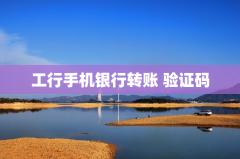 工行手机银行转账 验证码