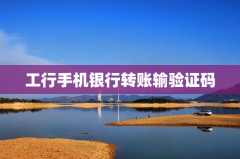 工行手机银行转账输验证码