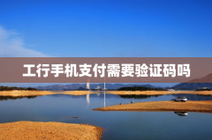 工行手机支付需要验证码吗