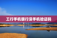 工行手机银行没手机验证码