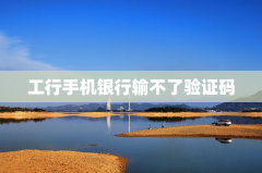 工行手机银行输不了验证码