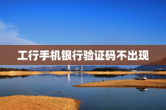 工行手机银行验证码不出现