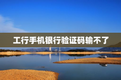 工行手机银行验证码输不了