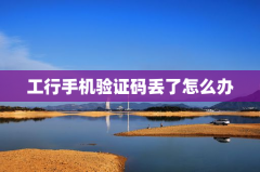 工行手机验证码丢了怎么办