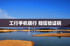 工行手机银行 短信验证码