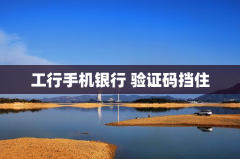 工行手机银行验证码挡住了我去学校的路
