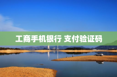 工商手机银行 支付验证码