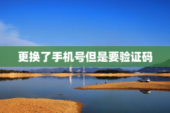 更换了手机号但是要验证码