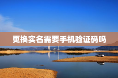 更换实名需要手机验证码吗