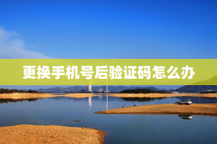 更换手机号后验证码怎么办