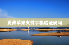 更改苹果支付手机验证码吗