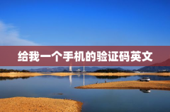 给我一个手机的验证码英文