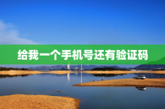 给我一个手机号还有验证码