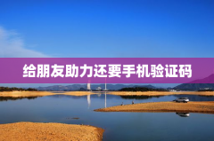 给朋友助力还要手机验证码