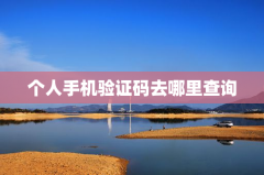 个人手机验证码去哪里查询