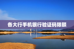 各大行手机银行验证码限额