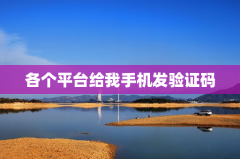 各个平台给我手机发验证码