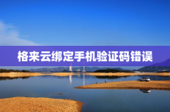格来云绑定手机验证码错误处理
