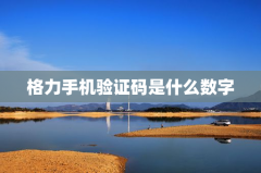 格力手机验证码是什么数字