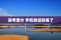 高考查分 手机验证码丢了