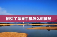 刚买了苹果手机怎么验证码
