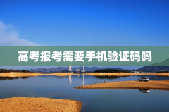 高考报考需要手机验证码吗