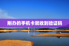 刚办的手机卡就收到验证码