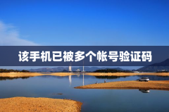 该手机已被多个帐号验证码登录