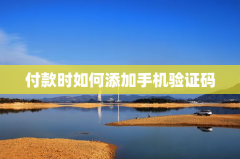 付款时如何添加手机验证码