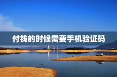 付钱的时候需要手机验证码