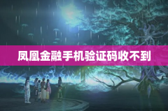 凤凰金融手机验证码收不到