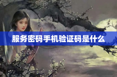服务密码手机验证码是什么