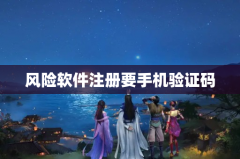 风险软件注册要手机验证码