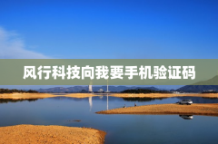 风行科技向我要手机验证码