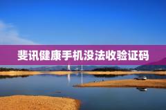 斐讯健康手机没法收验证码