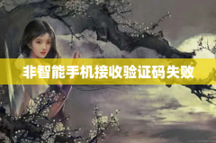 非智能手机接收验证码失败