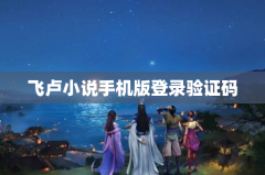 飞卢小说手机版登录验证码