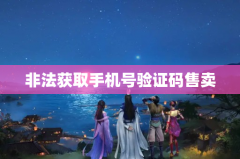 非法获取手机号验证码售卖