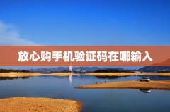 放心购手机验证码在哪输入