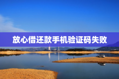 放心借还款手机验证码失败