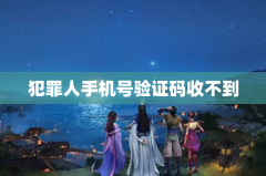 犯罪人手机号验证码收不到
