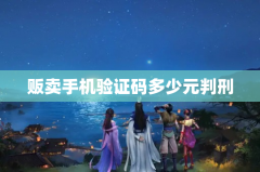 贩卖手机验证码多少元判刑