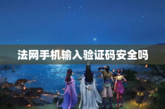 法网手机输入验证码安全吗